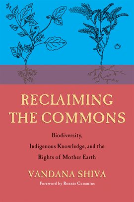Cover image for Reclaiming the Commons