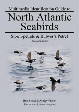 Cover image for Storm-petrels & Bulwer's Petrel