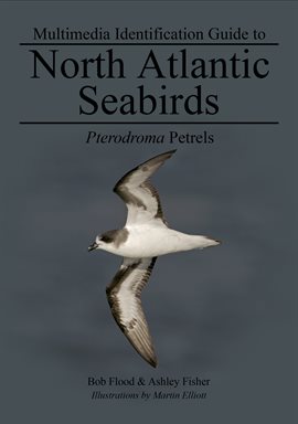 Cover image for Pterodroma Petrels