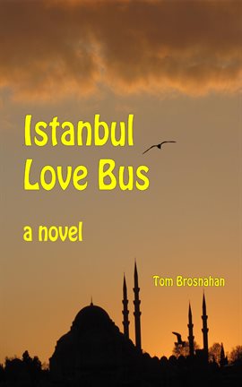 Cover image for Istanbul Love Bus