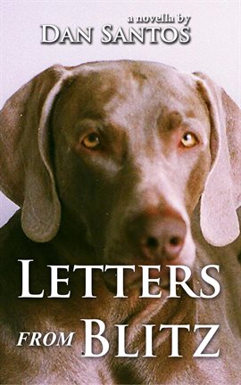 Cover image for Letters from Blitz