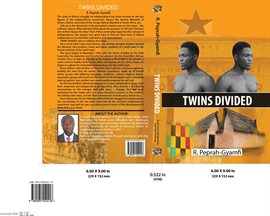 Cover image for TWINS DIVIDED