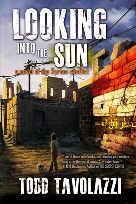 Cover image for Looking into the Sun