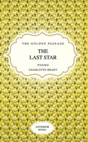 The last star cover image