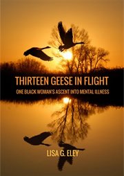 Thirteen geese in flight : one black woman's ascent into mental illness cover image