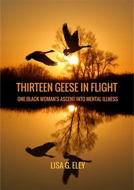 Cover image for Thirteen Geese in Flight