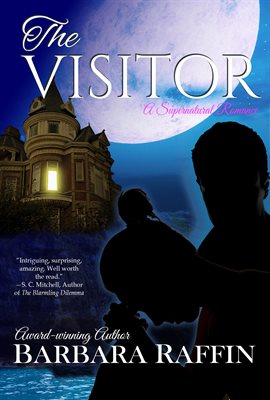 Cover image for The Visitor