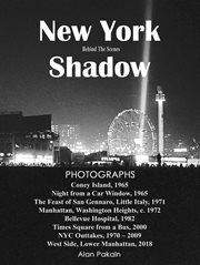 New York shadow : behind the scenes cover image