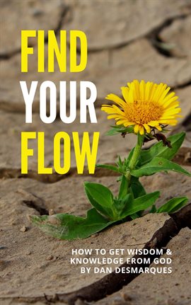Cover image for Find Your Flow
