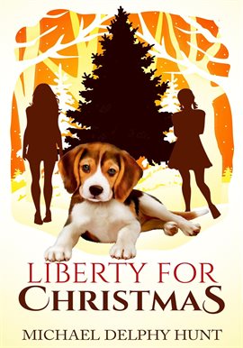 Cover image for Liberty For Christmas