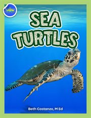Sea turtles activity workbook ages 4-8 cover image