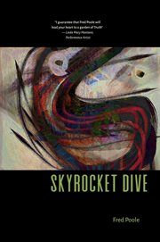 Skyrocket dive cover image