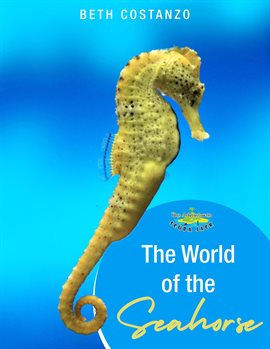 Cover image for Seahorse Activity Workbook For Kids ages 4-8