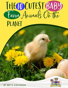 Cover image for Baby Farm Animals Booklet With Activities for Kids ages 4-8