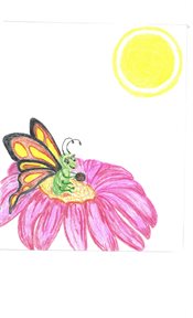 Bella the bedtime butterfly cover image
