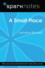 A Small place cover image
