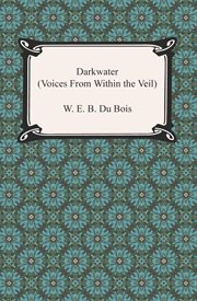 Darkwater : voices from within the veil cover image