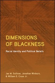 Dimensions of blackness : racial identity and political beliefs cover image