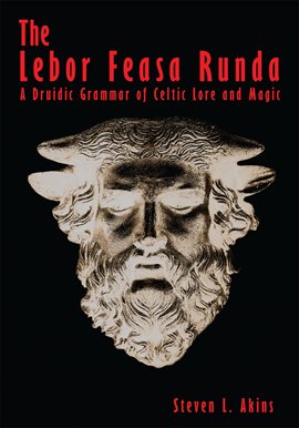 Cover image for The Lebor Feasa Runda