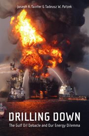 Drilling down : the Gulf Oil debacle and our energy dilemma cover image