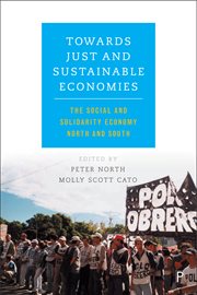 Towards just and sustainable economies : the social and solidarity economy north and south cover image