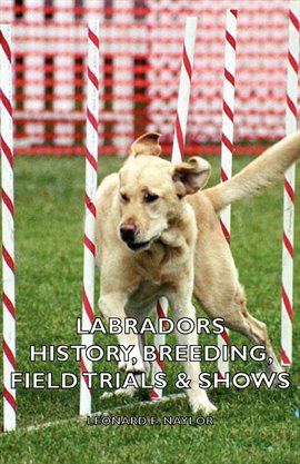 Cover image for Labradors