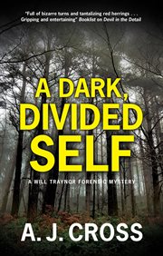 A dark, divided self cover image