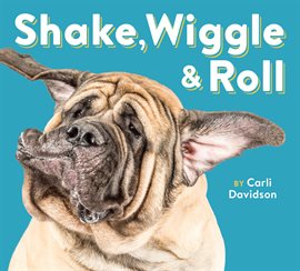 Cover image for Shake, Wiggle & Roll