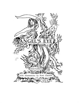 Cover image for Angel's Eye