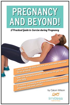 Pregnancy And Beyond! Ebook By Calum Wilson - Hoopla