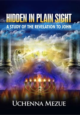 Cover image for Hidden In Plain Sight