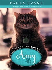 Everybody loves amy cover image