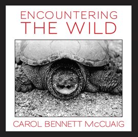 Cover image for Encountering the Wild