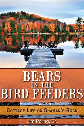 Cover image for Bears in the Bird Feeders