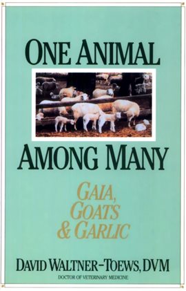 Cover image for One Animal Among Many