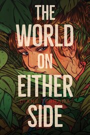 The world on either side cover image
