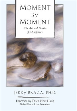 Cover image for Moment by Moment