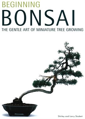 Cover image for Beginning Bonsai