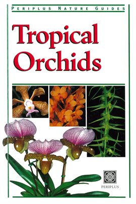 Cover image for Tropical Orchids of Southeast Asia