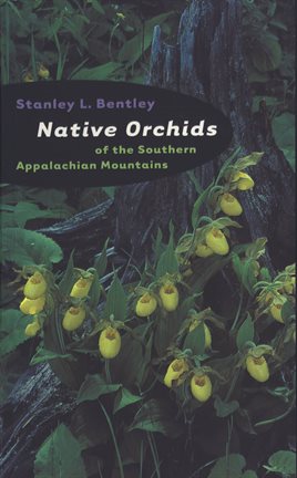 Cover image for Native Orchids of the Southern Appalachian Mountains