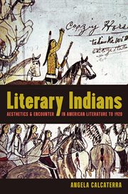 Literary Indians : aesthetics and encounter in American literature to 1920 cover image