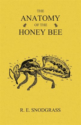 Cover image for The Anatomy of the Honey Bee