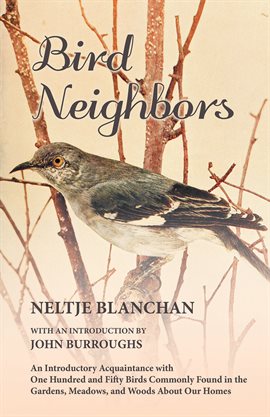 Cover image for Bird Neighbors