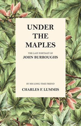 Cover image for Under the Maples