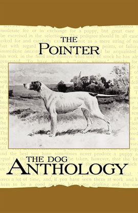 Cover image for The Pointer