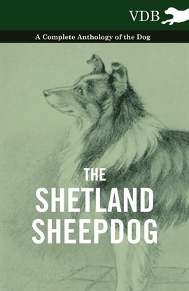 Cover image for The Shetland Sheepdog