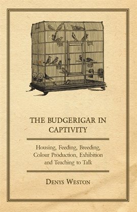 Cover image for The Budgerigar in Captivity