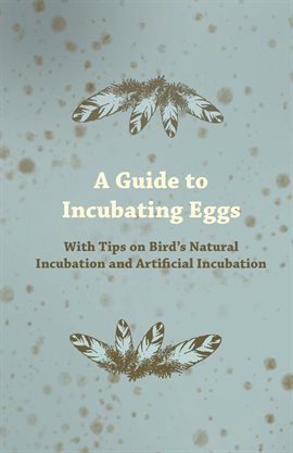 Cover image for A Guide to Incubating Eggs