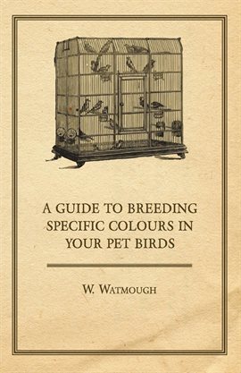 Cover image for A Guide to Breeding Specific Colours in your Pet Birds