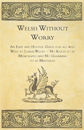 Cover image for Welsh Without Worry